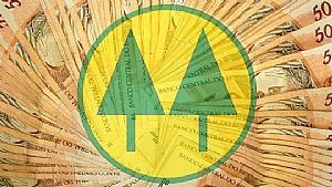 Cooperativa de crdito 