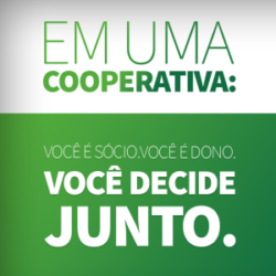 Em uma cooperativa de crédito você participa das decisões