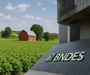 Cooperativas de Crédito liberam 90% do Plano Safra via BNDES
