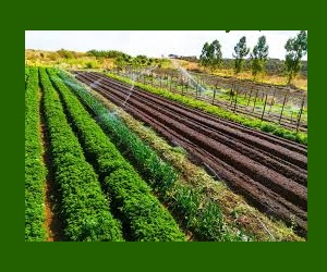 Inadimplência dos produtores rurais no Brasil chega a 7,9% no 1º tri, aponta Serasa