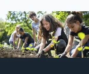 Cooperar para transformar: o voluntariado como ferramenta de impacto social