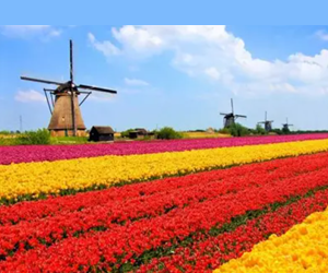 Cooperativismo de Crédito na Holanda