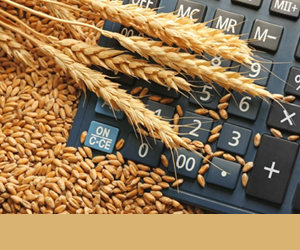 Governo anuncia medidas atenuar o endividamento rural